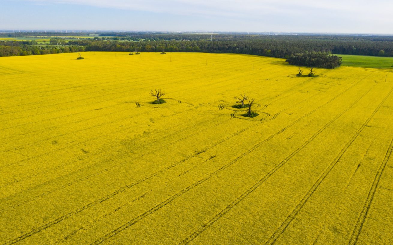 Reklama Poznań - latanie dronem (35)