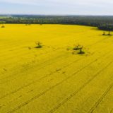 Reklama Poznań - latanie dronem (35)