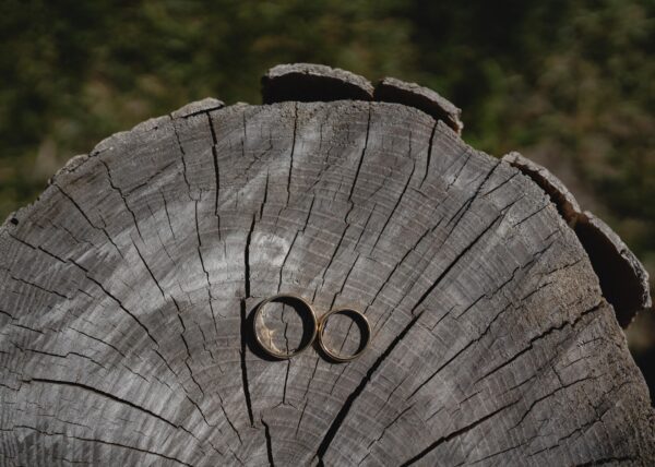 międzynarodowe wesele Zamek Łagów